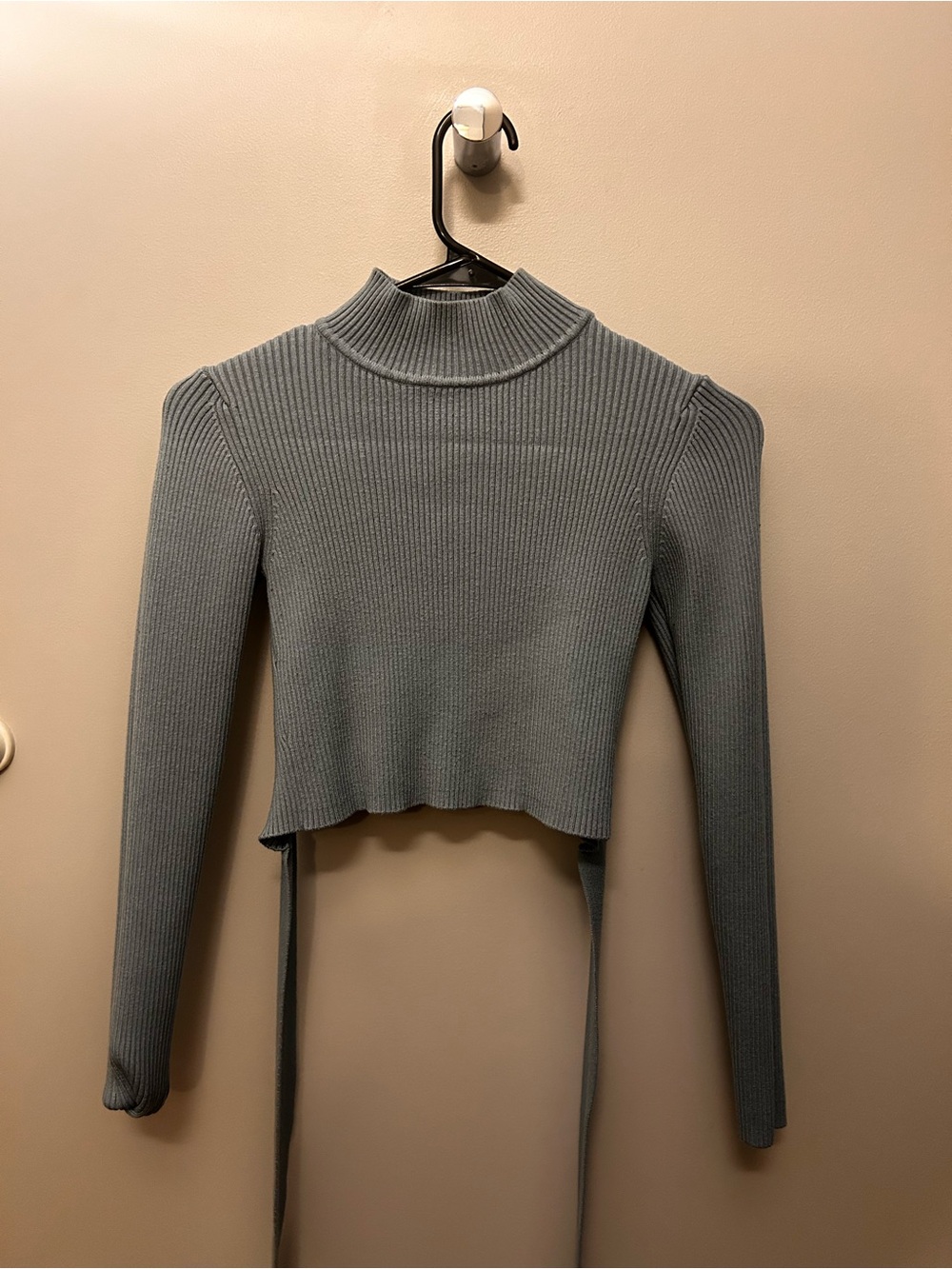 Zara blue cropped sweater
